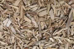 biomass boilers Tregajorran